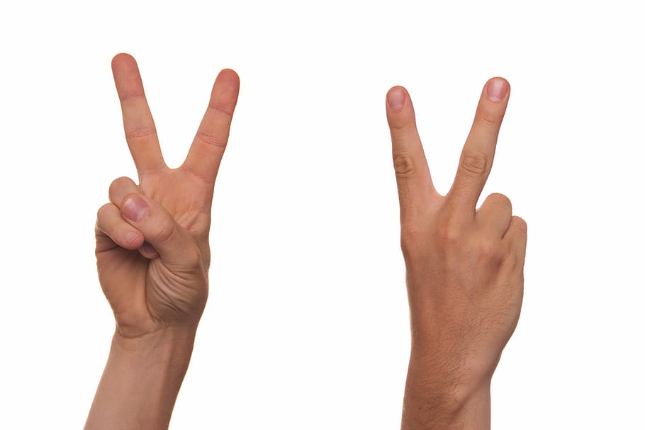 pessoa, mão, mostrando, sinal de paz, gesto, língua de sinais, dedo, símbolo, homem, humano