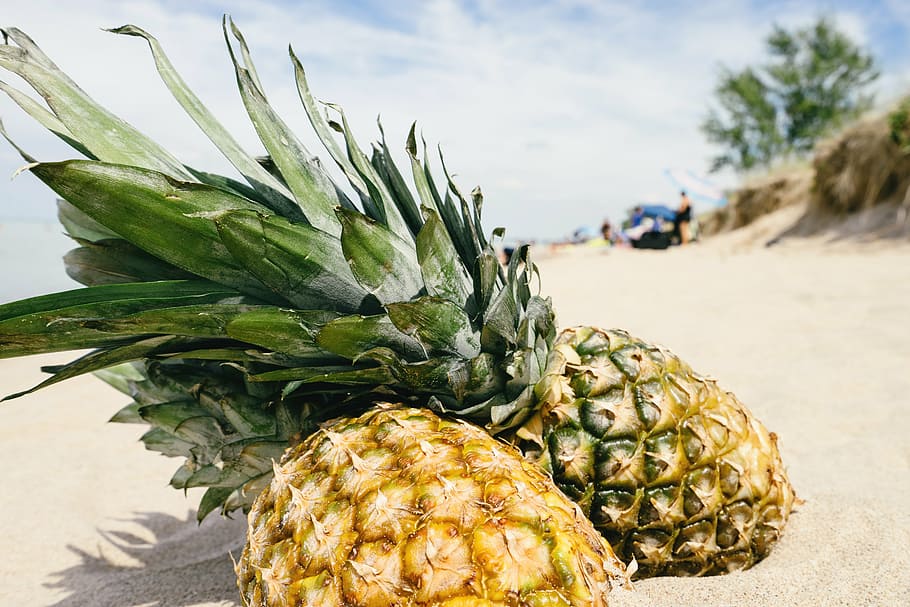 two, pineapple, sands, daytime, sand, beach, summertime, summer, summer vibes, fruit