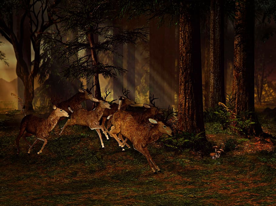 three, brown, deer, running, forest painting, wild, animal, wild animal, forest, nature