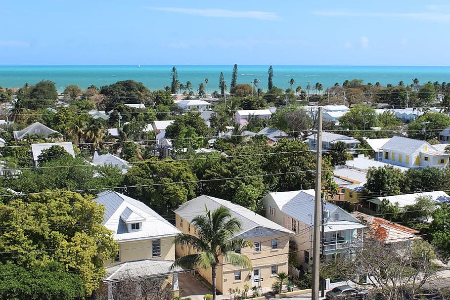 aerial, bulding, key west, view from lighthouse, florida, palm trees, architecture, building, architecture design, structure