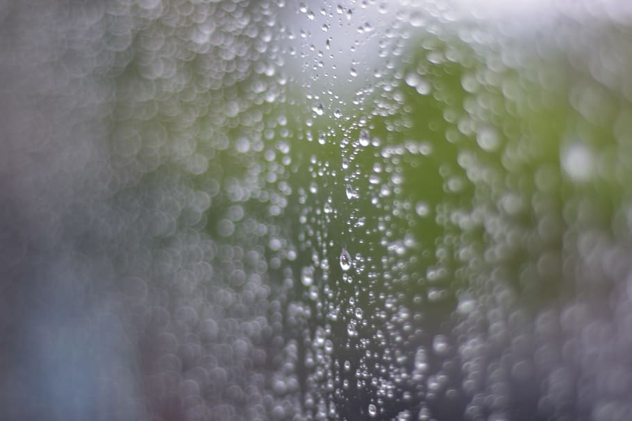 drops of water, rain, waterfall, the rainy season, rain water, autumn leaves, water, glass, water distribution, sprinkler