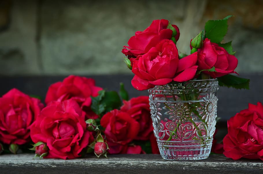 glass, cut, cup, red, flowers, inside, roses, red roses, bouquet of roses, rose bloom