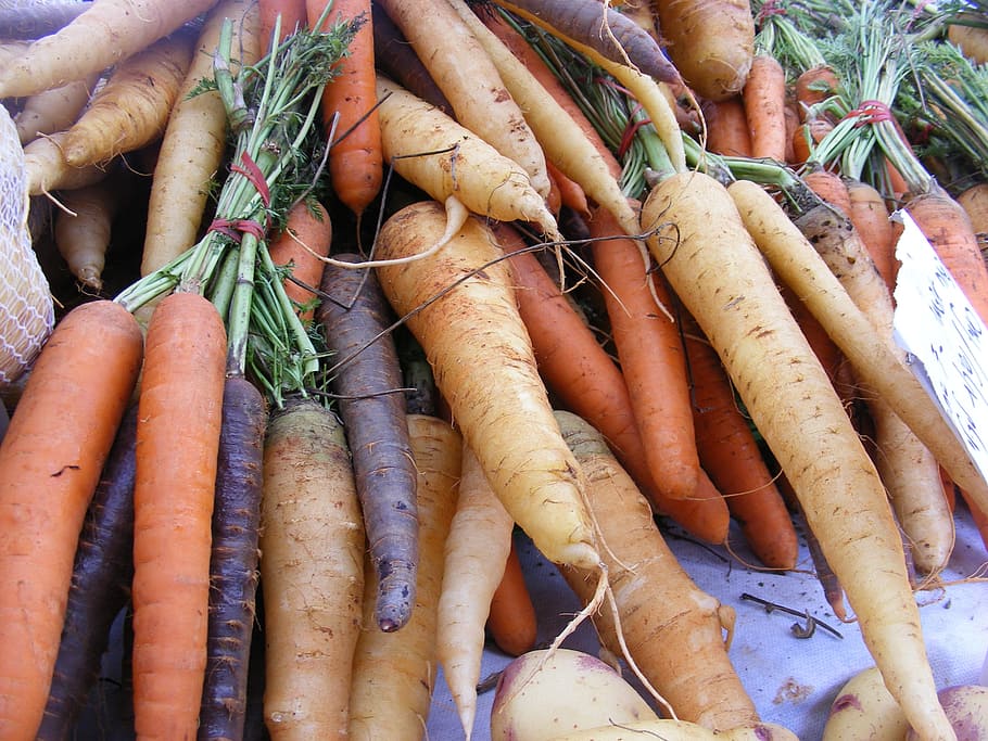 carrots, radish lot, fruits, veggies, roots, eating, eat, vegetables, root vegetable, carrot