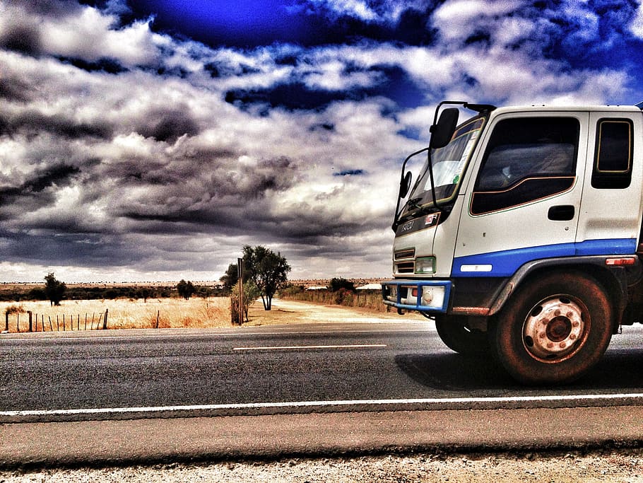 white, blue, truck, road, wheat fields, daytime, on the road, travel, lorry, trucking