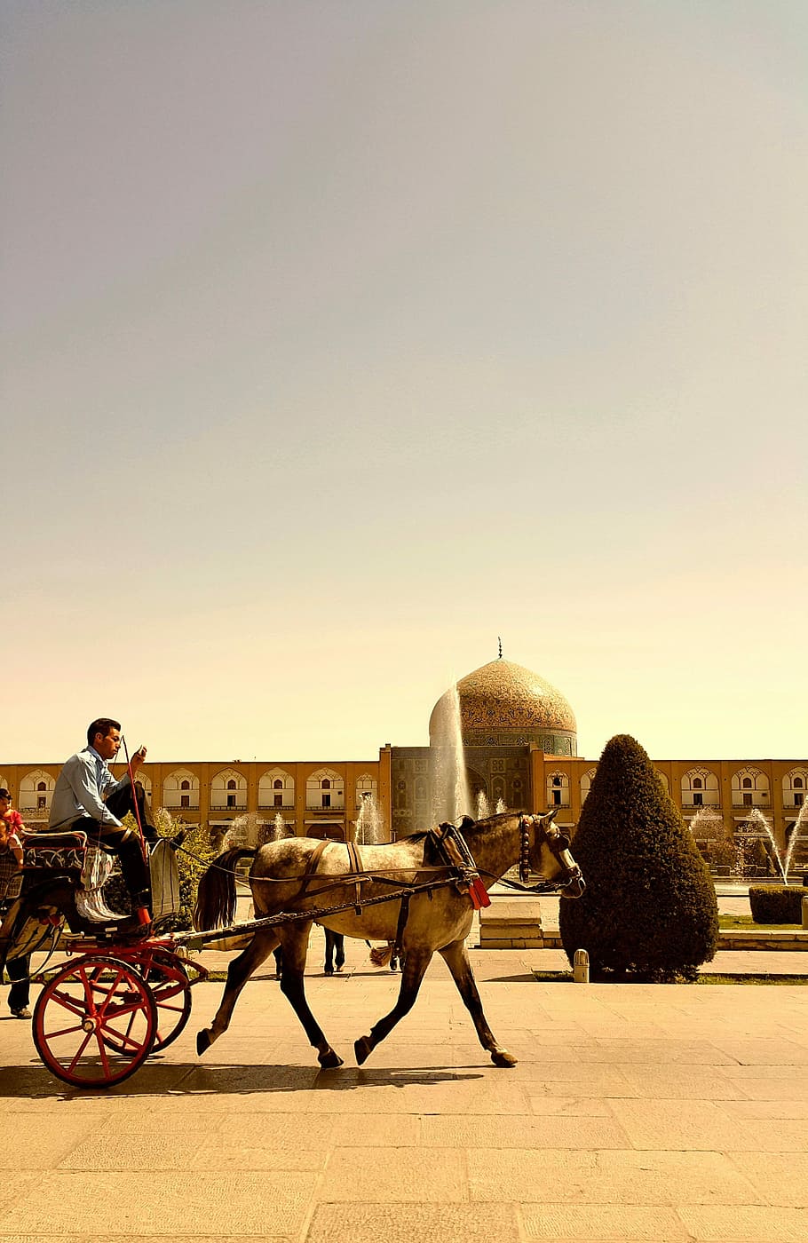 イラン, イスファハン, 馬車, モスク, 木, 馬, 暖かい, 歴史, 大人, 交通