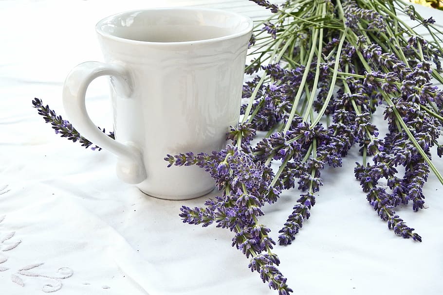 white, ceramic, cup, purple, cluster flower, lavender, tablecloth, lifestyle, blue, drink