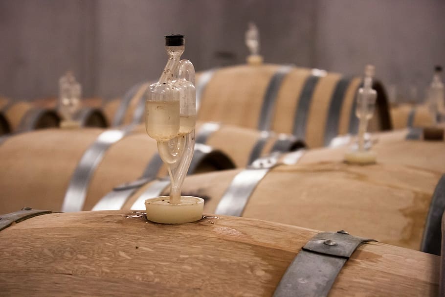 wine, barrel, wine barrel, barrels, wooden barrels, wine barrels, keller, red wine, cellar, winemaker