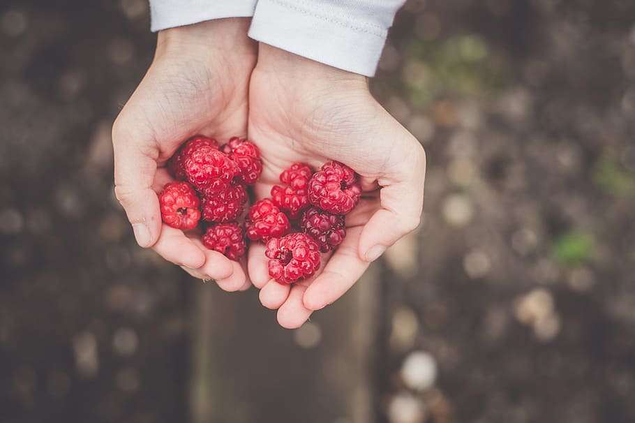person, holding, raspberries fruit, berries, blur, close-up, color, delicious, food, fruit