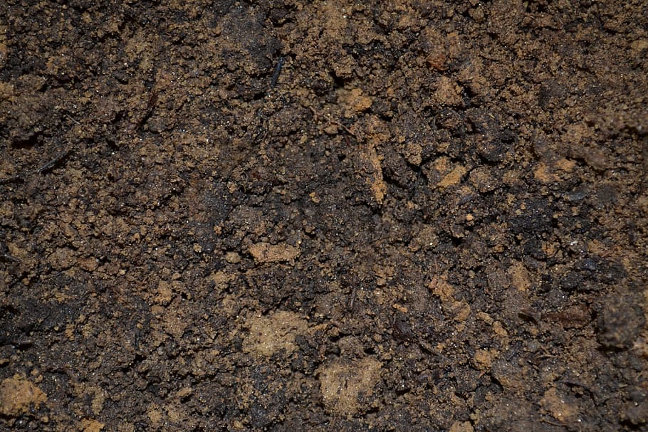 фотография коричневой почвы, грязь, почва, горшок, смесь, земля, посадка, рассада, природа, сад