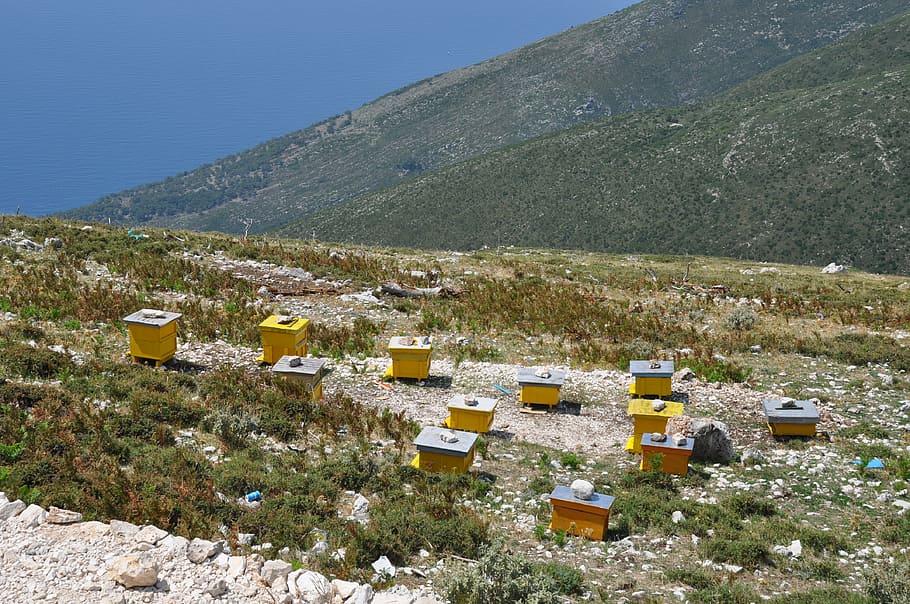 albania, colmenas, apicultura, europa, al aire libre, tradicional, balcanes, montañas, mar, costa