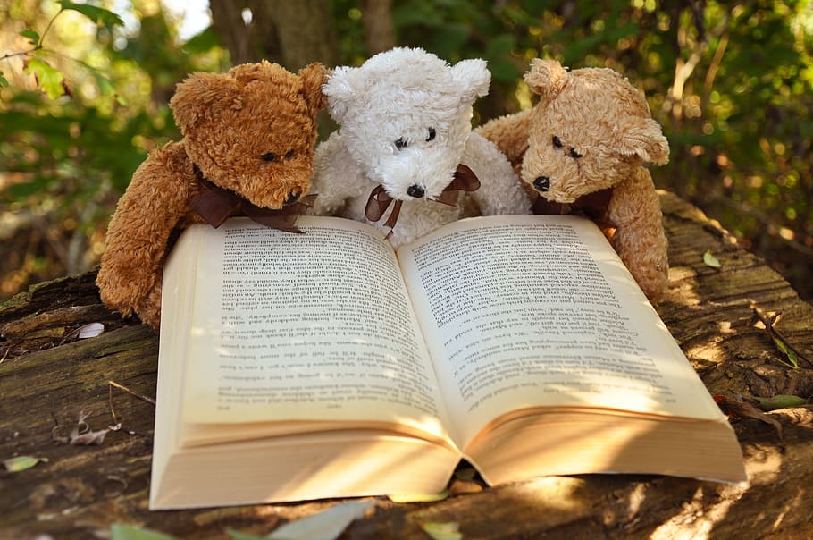 three, brown, white, bear, plush, toys, book, wooden, table, teddy bear
