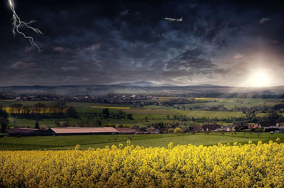 kuning, bidang bunga rapeseed, melintasi, terbuka, biru, langit, lanskap, suasana hati, awan, badai petir