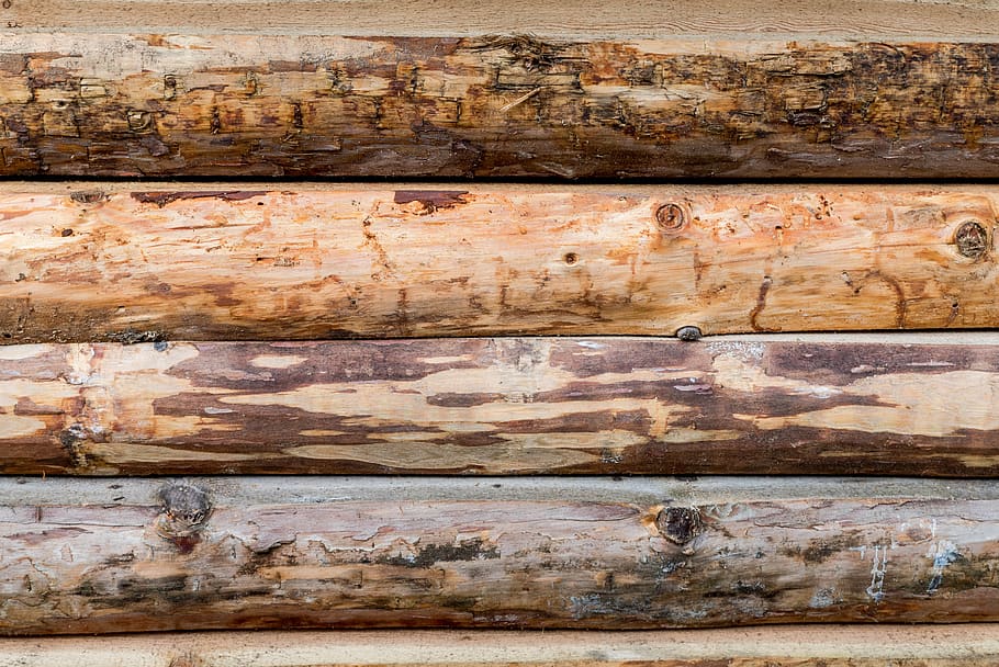 De madeira, fundo., Textura., Abstrato, fundo, conselho, marrom, floresta, natural, padrão