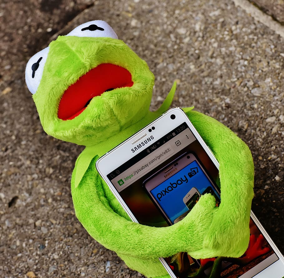 kermitt, frog, plush, toy, hugging, samsung android smartphone, kermit, smartphone, pixabay, image database
