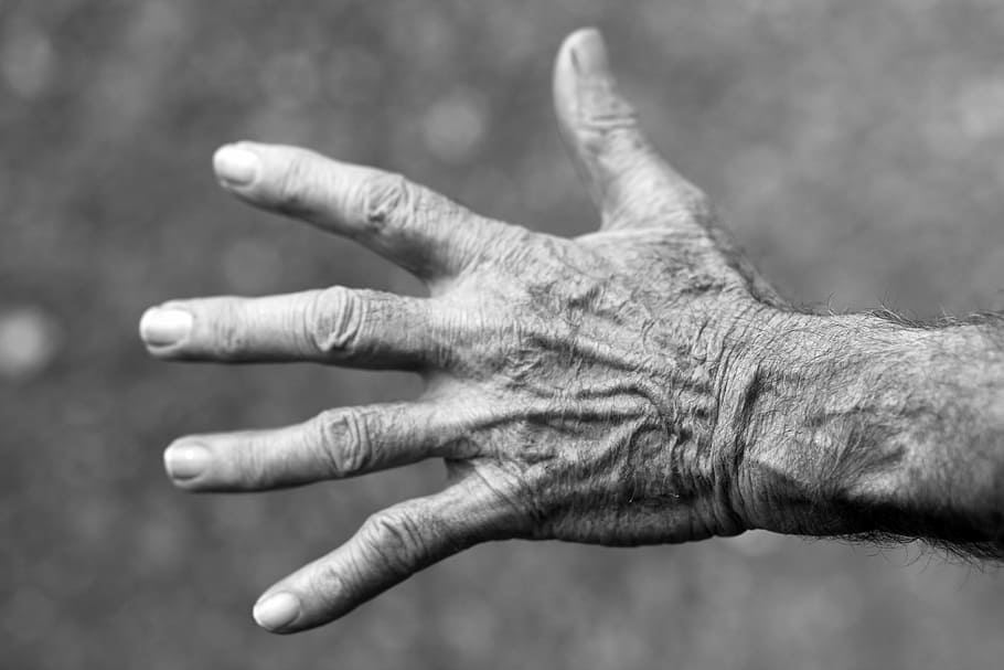 human, left, hand, grayscale photography, elderly woman, wrinkles, human Hand, senior Adult, human Finger, black And White