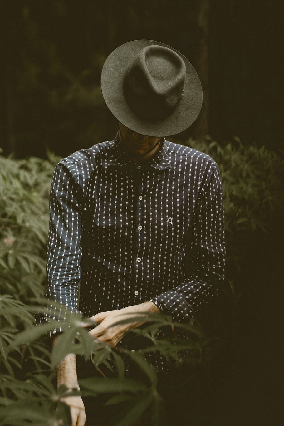 男, 立っている, 横にある, 植物, 人, 自然, 屋外, ファッション, 帽子, 暗い