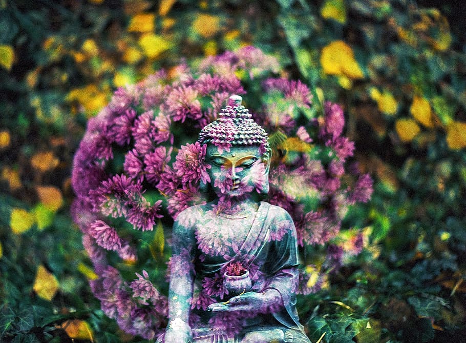 Sentir, maravilloso, nada, naturaleza, mente, feliz, Buda meditando., flor, planta floreciendo, planta