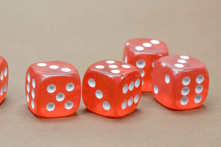 five, red-and-white, gaming dice, focus photo, cube, game cube, instantaneous speed, pay, play, poker