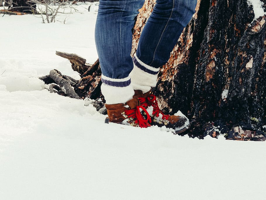 Persona, vistiendo, zapatillas altas, de pie, al lado, tronco, nieve, azul, mezclilla, jeans