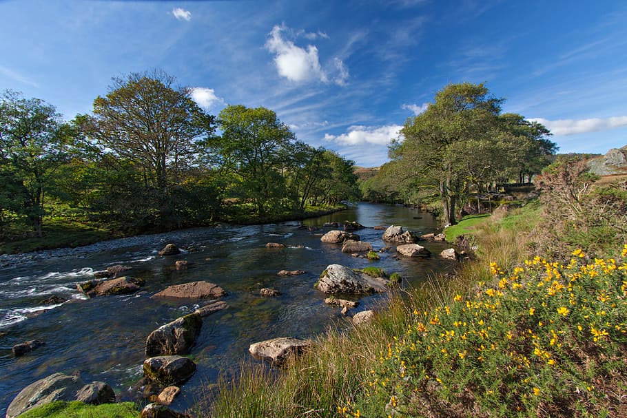 Sungai Esk, Lake District, Cumbria, Inggris, alam, musim panas, air, lanskap, sungai, scenics