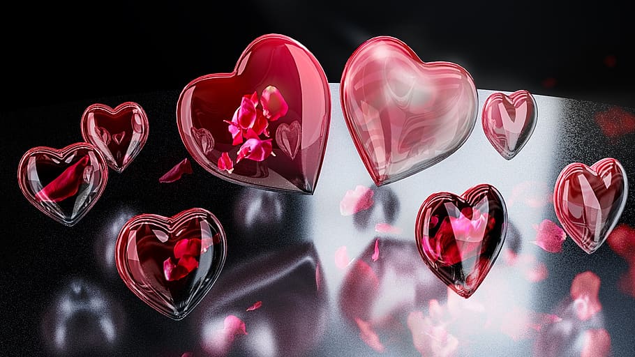 amorous, love, heart, romance, background, book cover, rose petals, valentine's day, petal, heart shape