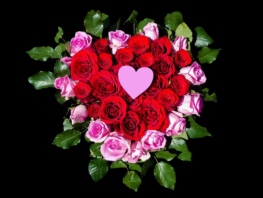 foto, vermelho, rosa, flores com pétalas, flores, coração, rosas, flores do coração, decorações florais, decoração