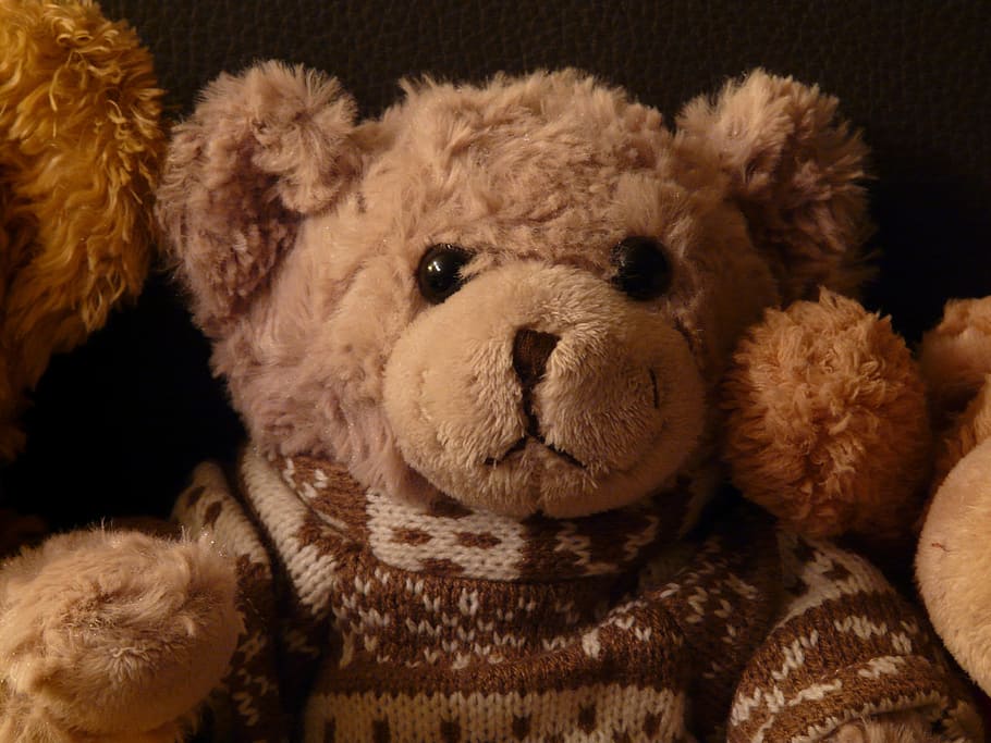 teddy bear, soft, fluffy, cuddly, purry, norwegian sweater, jumper, sweater, knit pullover, turtleneck sweater