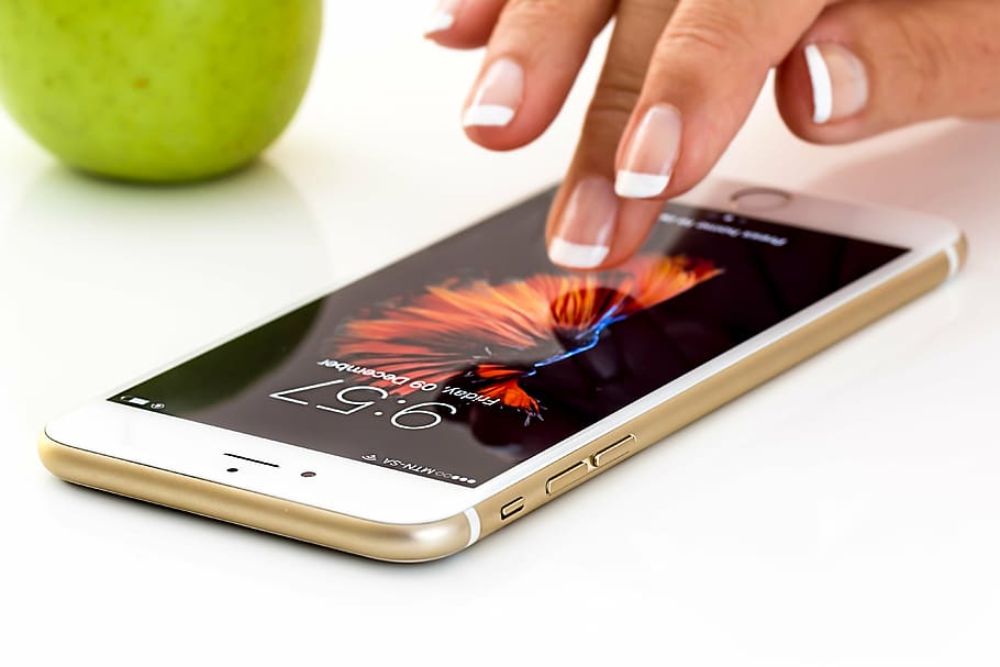 pessoa, tocando, ouro iphone 6, smartphone, celular, maçã, telefone, comunicação, mídia social, tecnologia