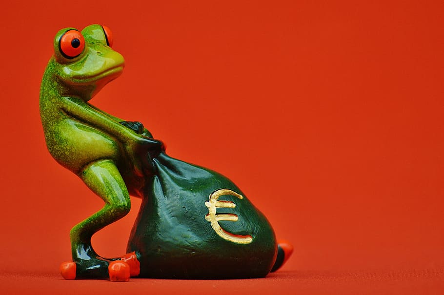 red-eyed tree frog, pulling, bag figurine, frog, money, euro, bag, money bag, funny, cute