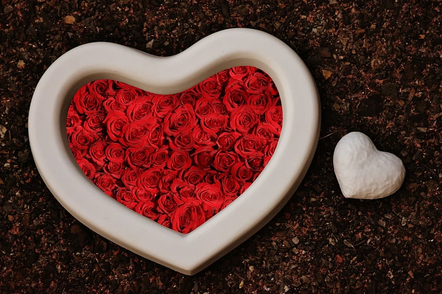 heart, gypsum, blanks, unpainted, white, love, valentine's day, greeting card, affection, romance
