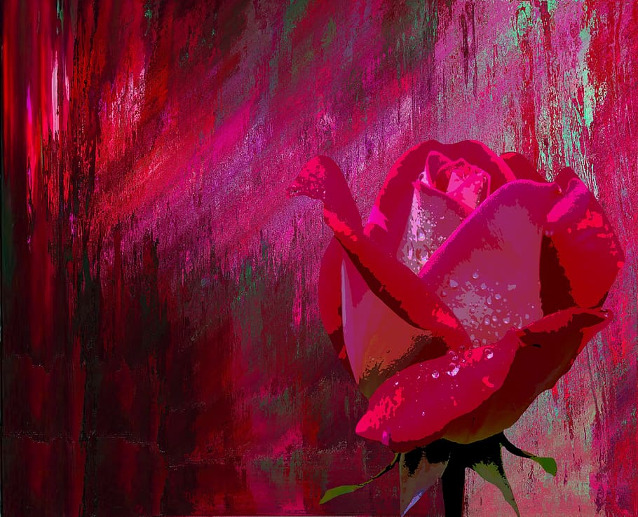 red rose painting, rose, love, valentine's day, wedding, romantic, red, rose bloom, wedding day, plant