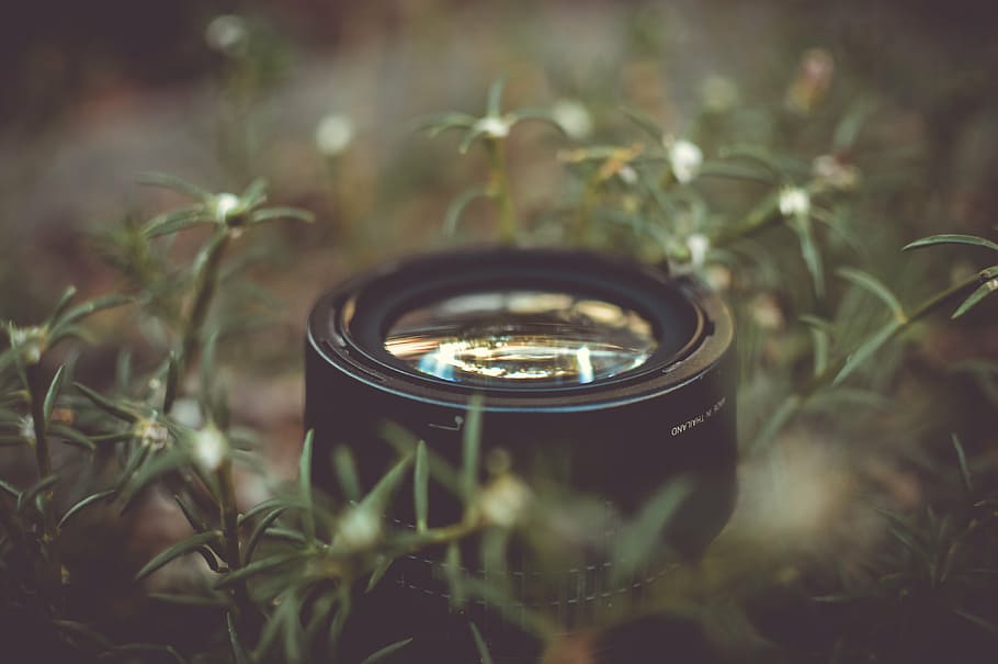 selektif, foto fokus, lensa kamera, hitam, kamera, lensa, hijau, rumput, fotografi, halaman rumput