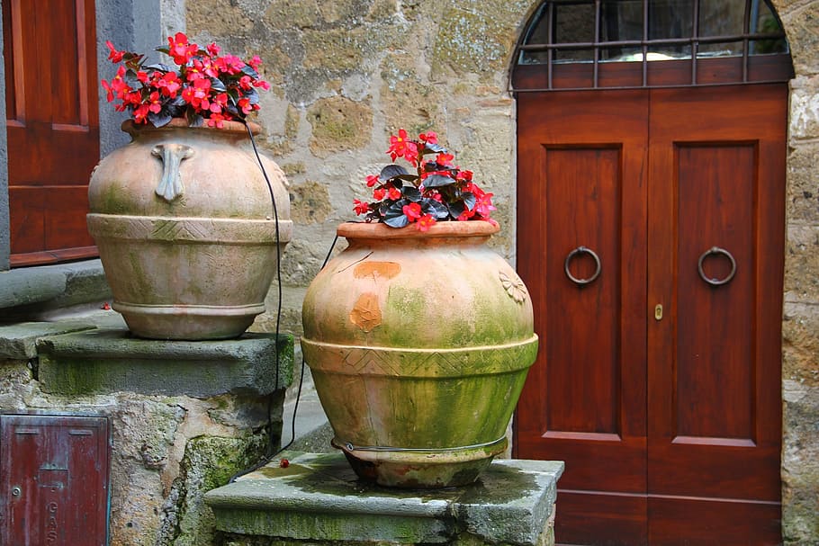 two, mossy, brown, pots, red, flowers, italy, doors, flower pot, pottery