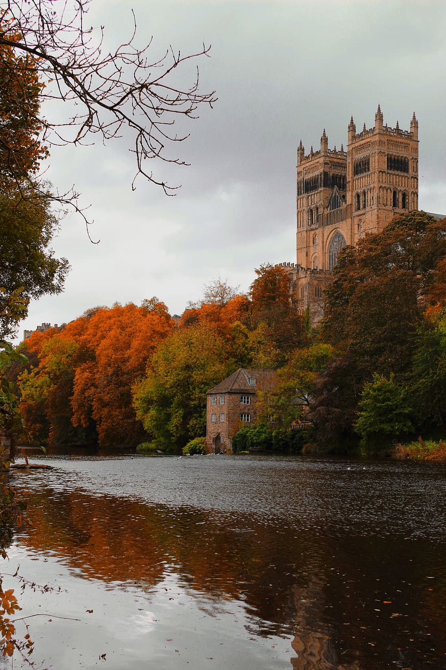 Durham, Catedral, Inglaterra, árvore, outono, reflexão, ninguém, nuvem - céu, céu, exterior do edifício