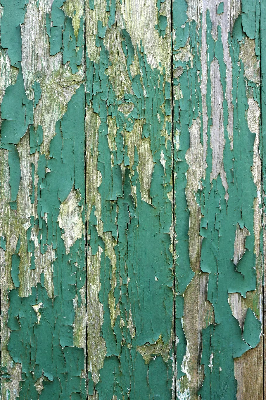wood, door, old, paint, weathered, wooden door, decay, flake, break up, backgrounds