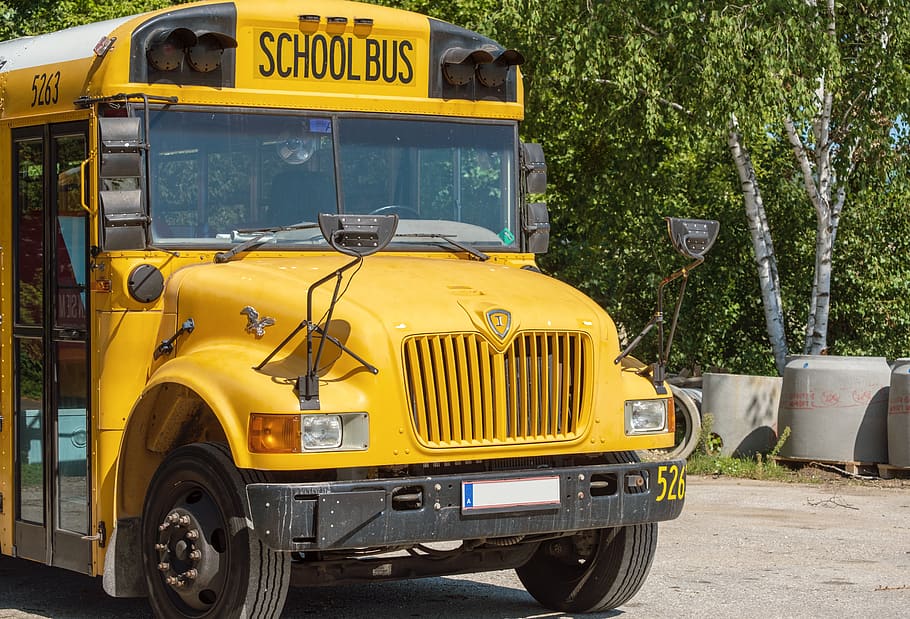 bus, school bus, yellow, schulbeginn, vehicle, transport, school, student vehicle, education, land vehicle