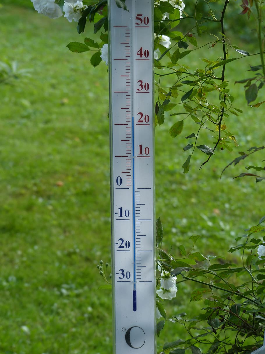 Thermometer, Degree, Temperature, aussentempteratur, air temperature, scale, measure, degrees celsius, garden, flowers
