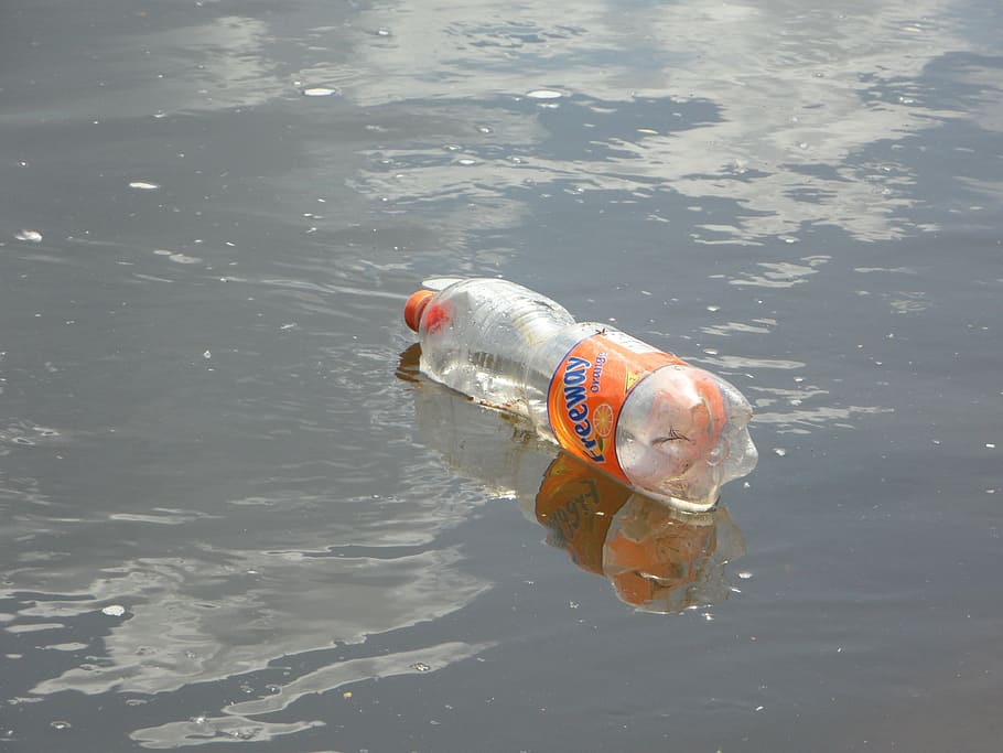 plastic bottle, floating, water, pollution, garbage, thrown away, waste, disposed of, environment, bottle