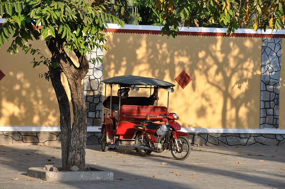 cambodia, rickshaw, phnom penh, car, transportation, mode of transportation, plant, tree, land vehicle, sunlight