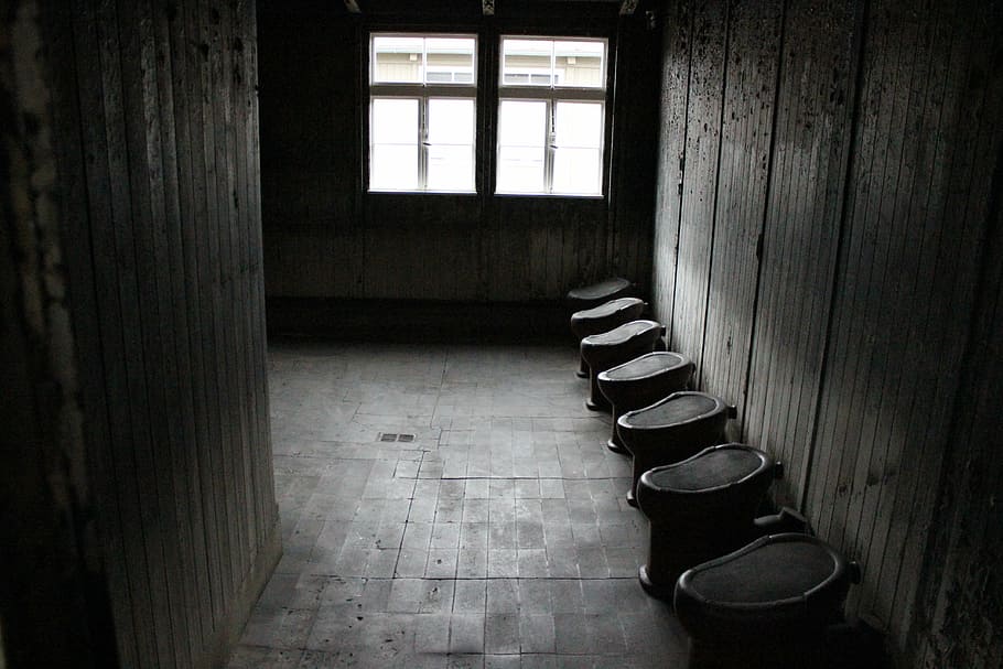 concentration camp, prison bathroom, prison, washbasin, gloomily, empty, indoors, window, absence, flooring