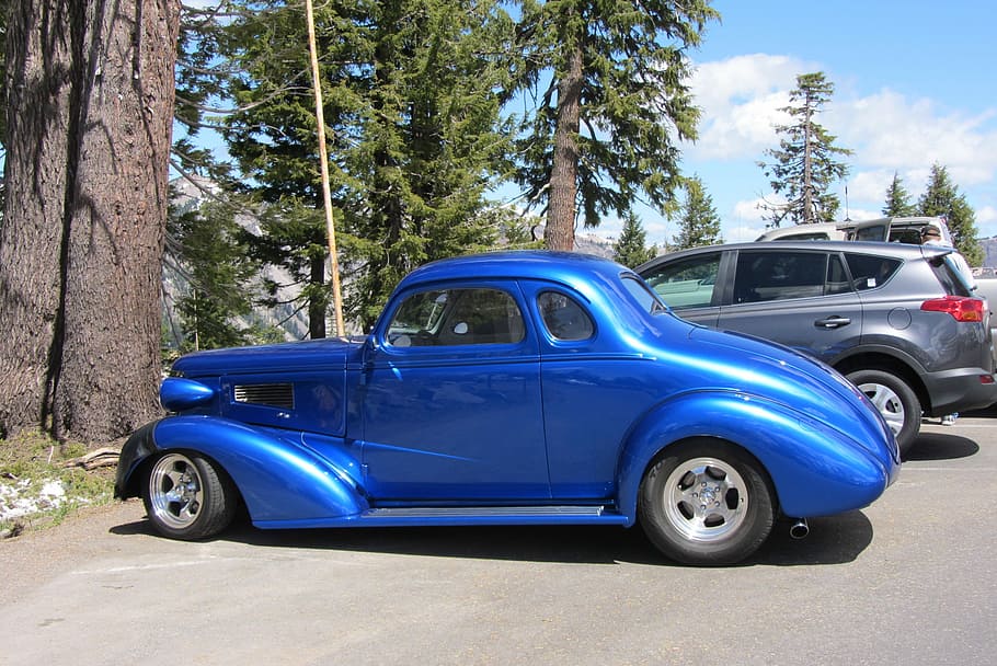 Oldtimer, Vintage Car, Classic Cars, American Car, Hot Rod, azul, Auto Show, coche, transporte, árbol