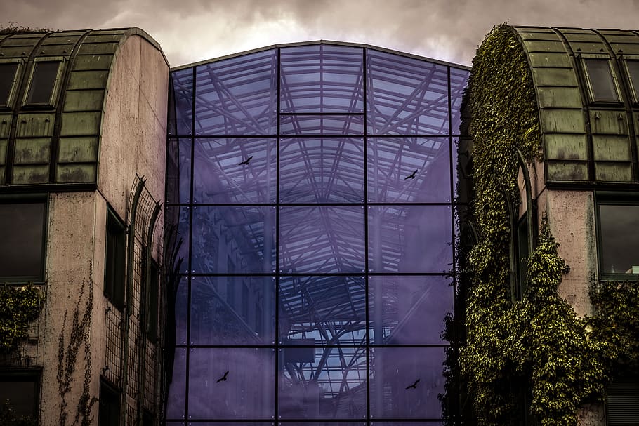 the glass house, architecture, modern, ivy, library, city, building, house, glass, office building