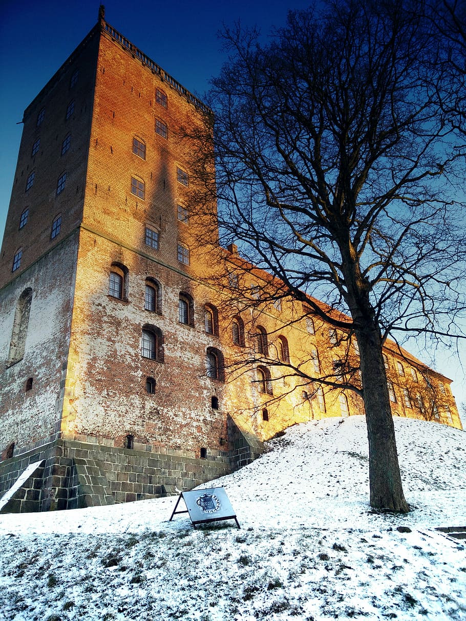 Winter, Denmark, Outdoor, Kolding, koldinghus, castle, snow, bare tree, cold temperature, built structure