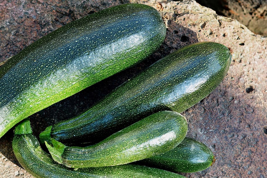courgettes, zucchini, vegetables, eating, fresh, food, green, vegetable, food and drink, freshness