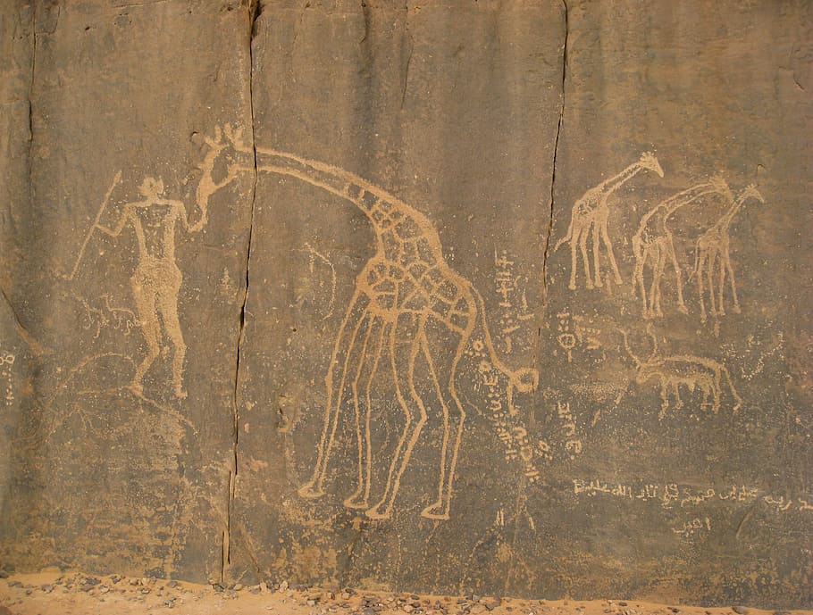 illustration, man, feeding, giraffes, wall, sahara, tassili, cave paintings, prehistory, textured
