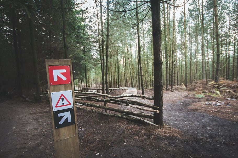 brown, wooden, fence, trees, accident, arrows, conifer, danger, daylight, directions