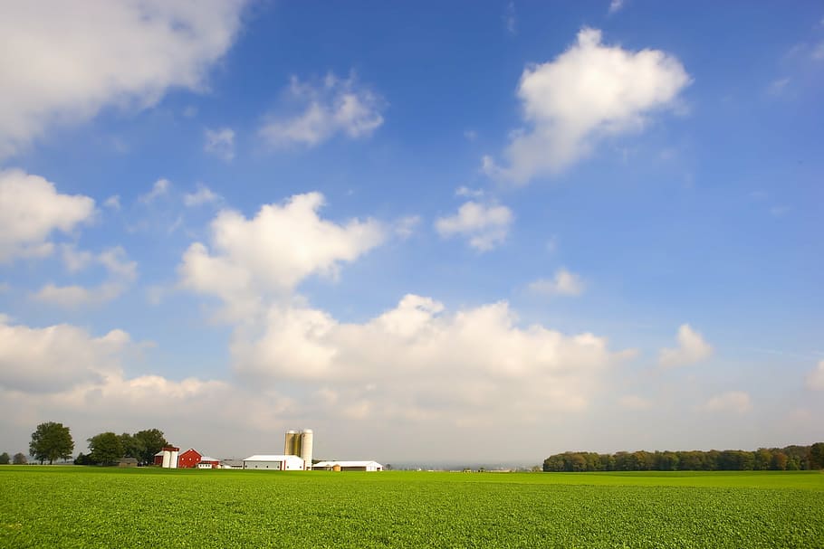 green, grass field, clear, sky, daytime, ohio, farm, rural, clouds, fields