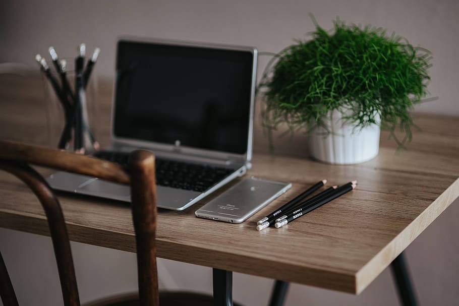 lugar de trabajo, computadora, escritorio, cuaderno, computadora portátil, madera, plata, Acer, verde, planta