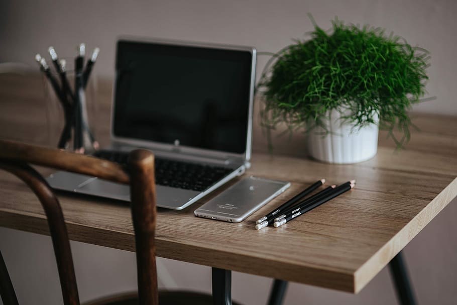 silver acer laptop, wooden, desk, green, plant, pencils, Silver, Acer, laptop, green plant