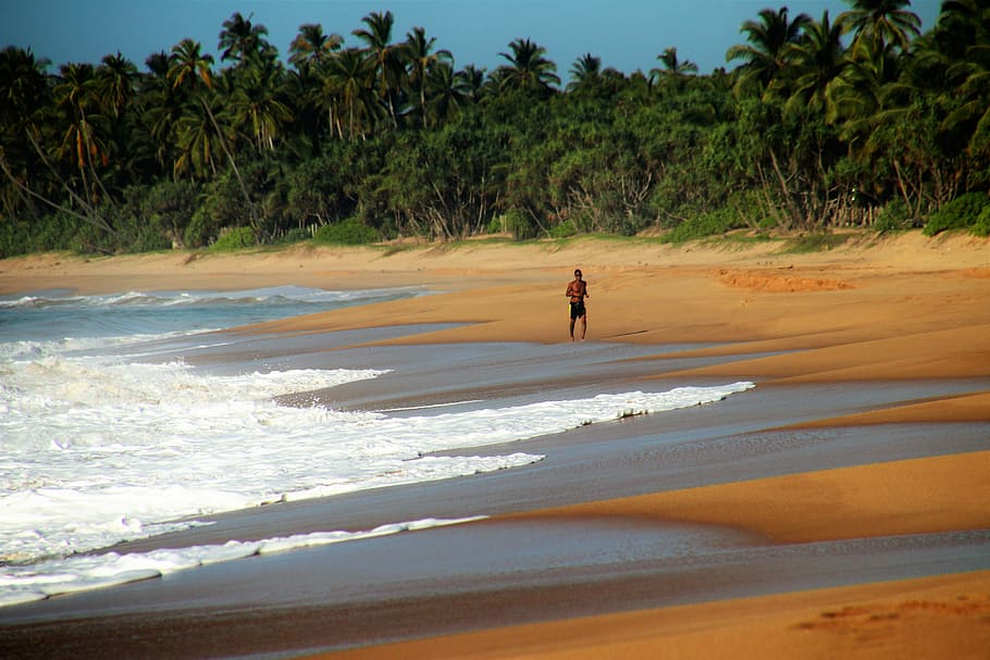 pessoa, de pé, beira-mar, areia, corredor, palmeiras, tropical, praia, espuma do mar, parte monolítica das águas